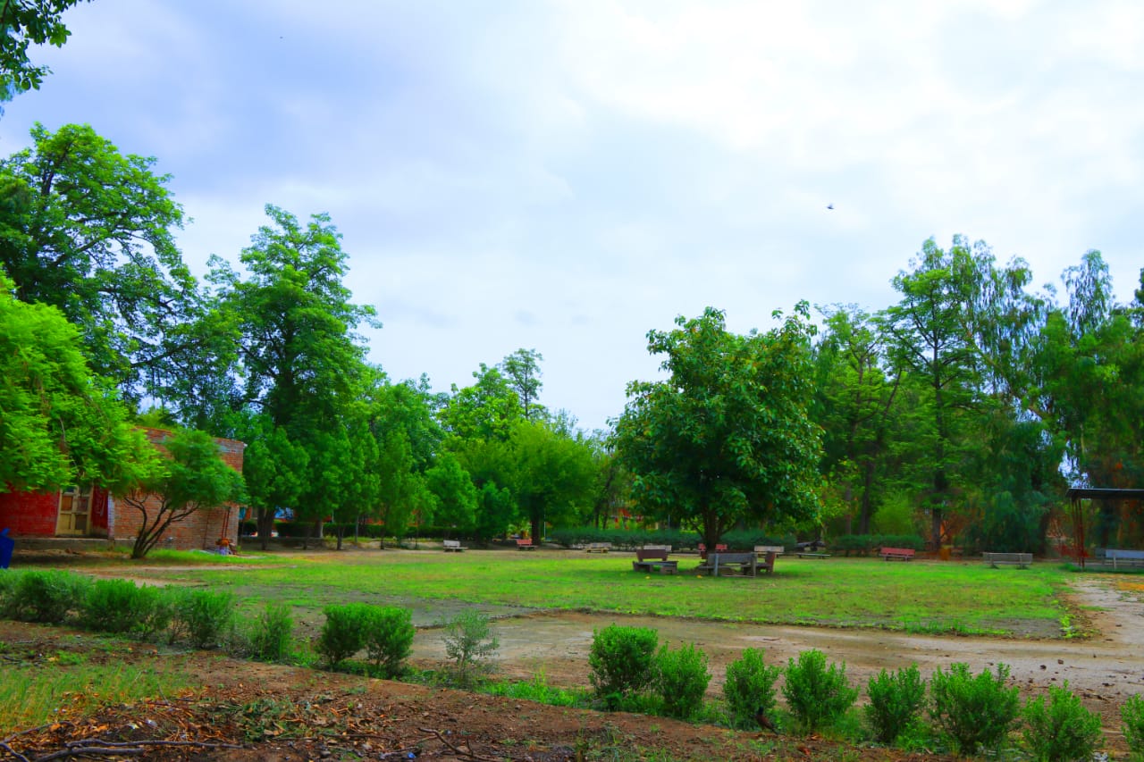 College Gallery Image